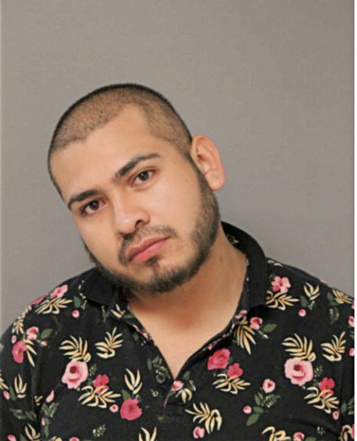 JOEL HERNANDEZ, Cook County, Illinois