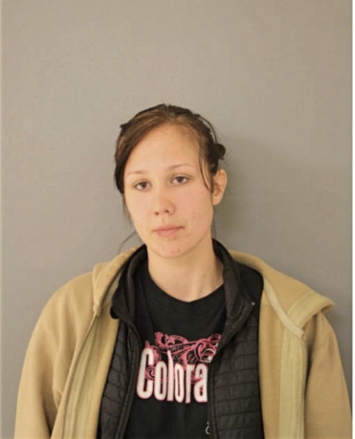 NIKI L JOHNSON, Cook County, Illinois