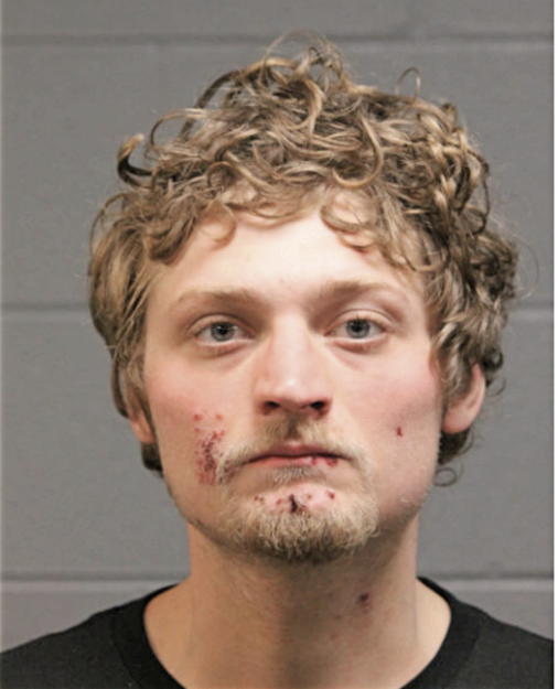 ARTEM KOZAKEVICH, Cook County, Illinois