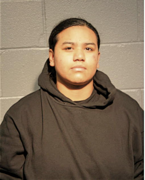 ANNETTE LEDESMA, Cook County, Illinois