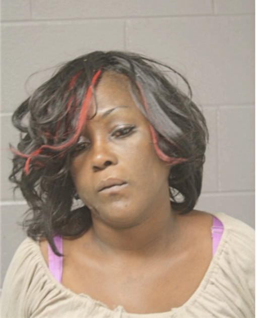 AMBER T LEWIS, Cook County, Illinois