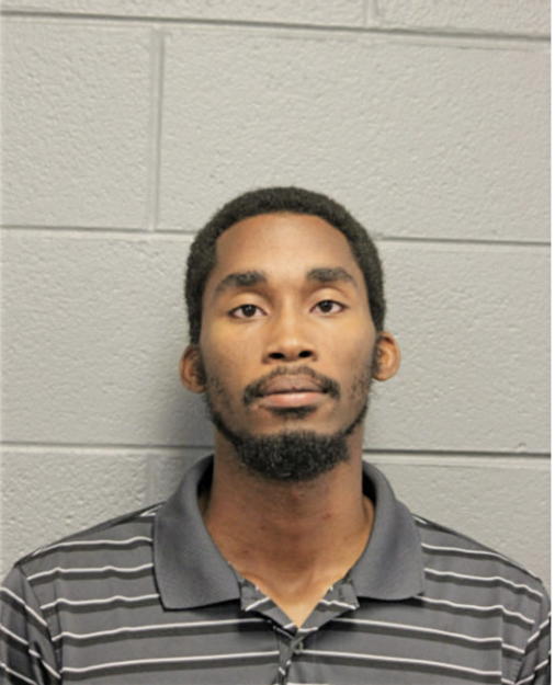 CHRISTIAN N LIGGINS, Cook County, Illinois