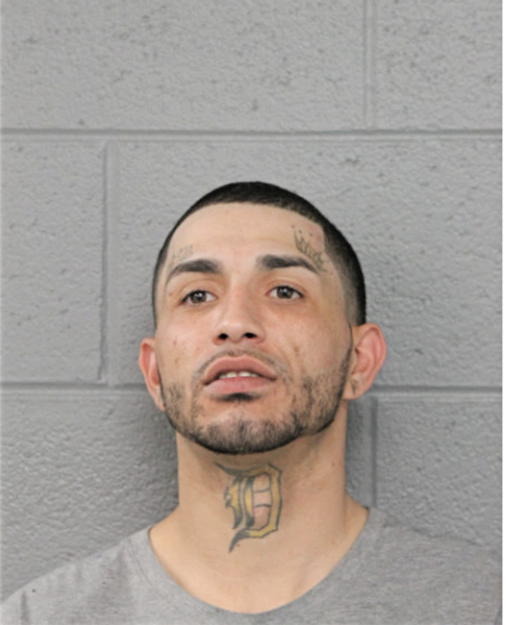 MICHAEL J LOZADA, Cook County, Illinois