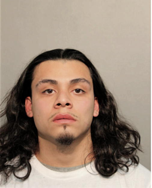 ALFONSO J MARTINEZ, Cook County, Illinois