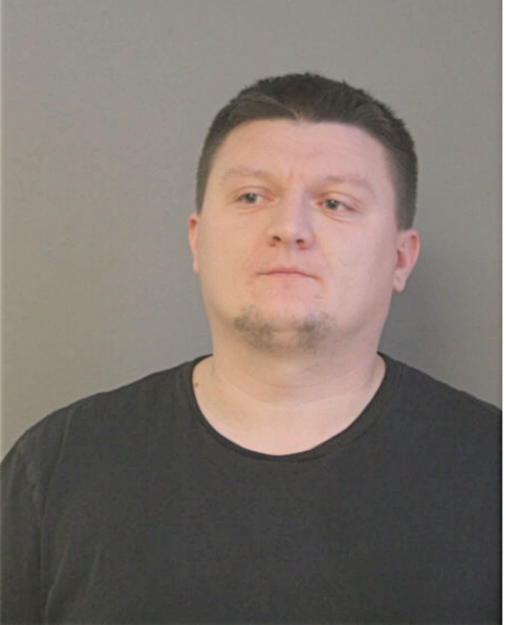 BOGDAN MIJIC, Cook County, Illinois