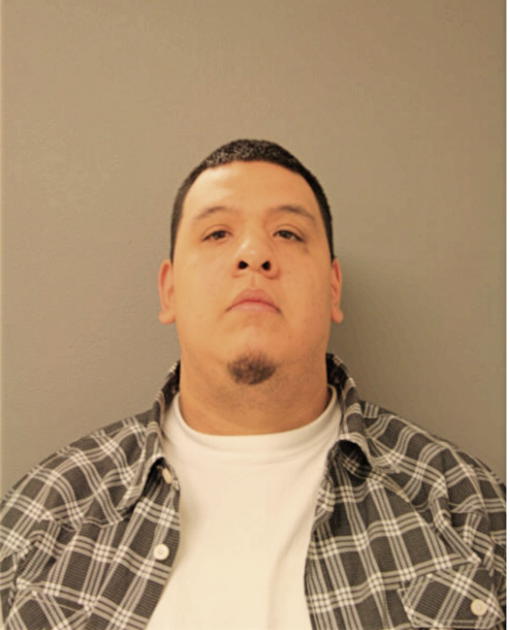 DAVID A NAVARRETE, Cook County, Illinois