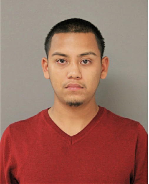 JUAN ROMAN, Cook County, Illinois