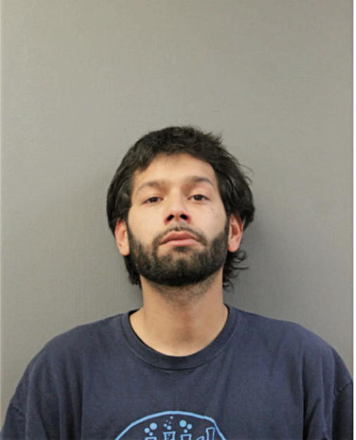 JOVANNI L SANCHEZ, Cook County, Illinois