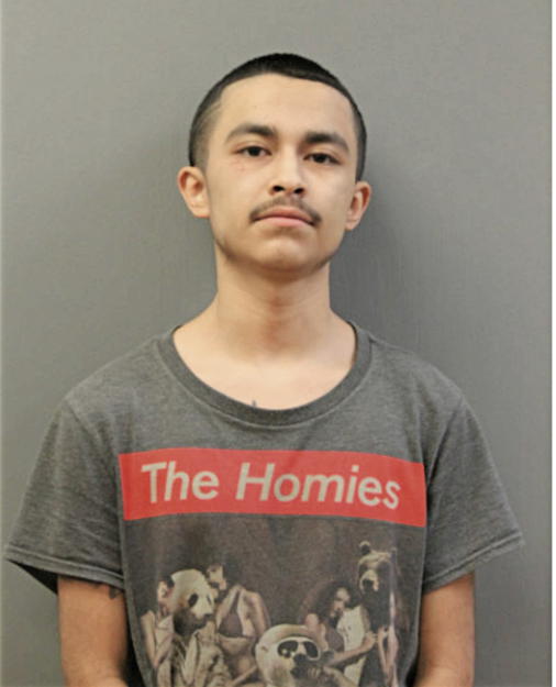 OMAR R SOSA, Cook County, Illinois