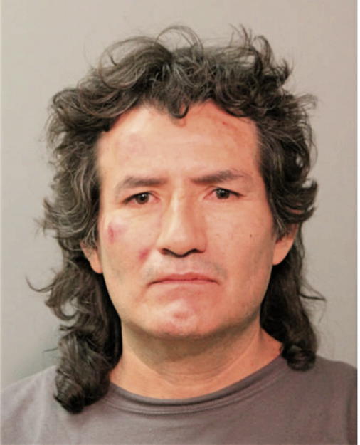 TRINIDAD SOTELO, Cook County, Illinois