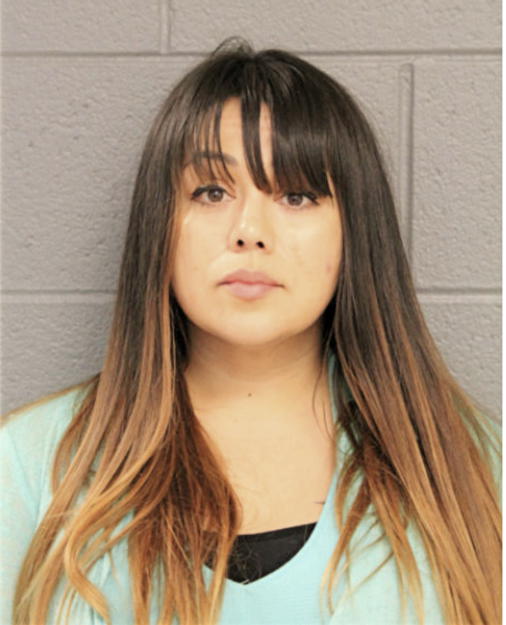 SANDRA TORRES, Cook County, Illinois