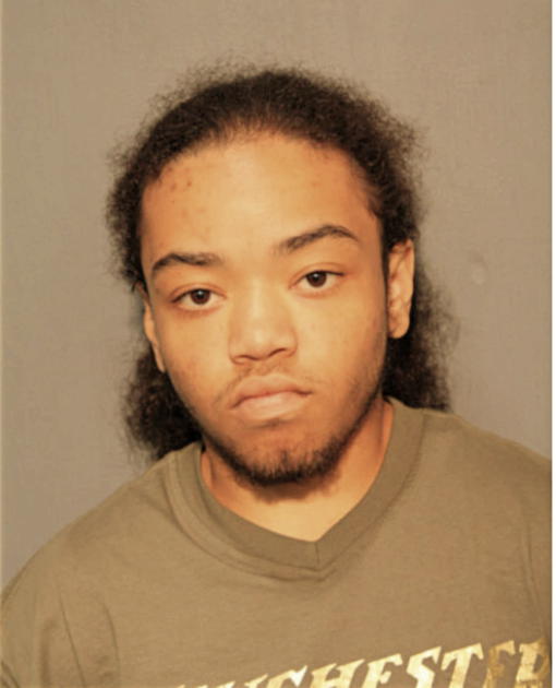 STEVE A TURNER, Cook County, Illinois