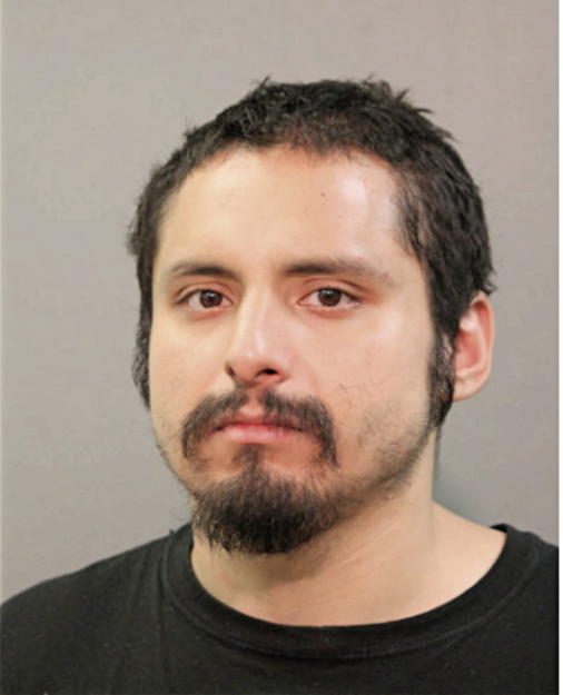 FRANCISCO JAVIER VEGA, Cook County, Illinois
