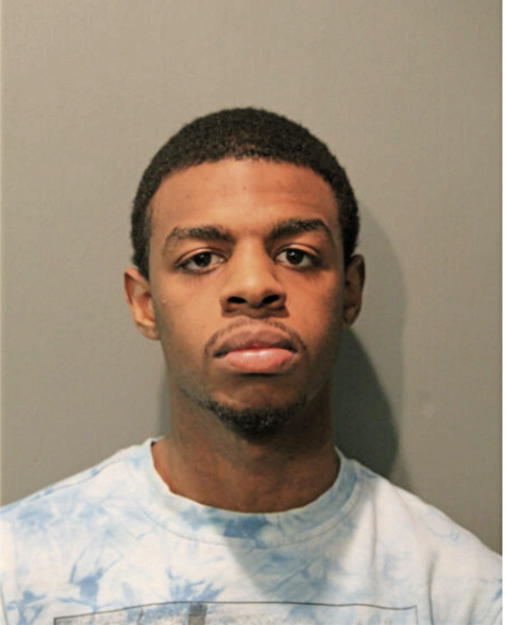 WALTER L WILLIAMS, Cook County, Illinois