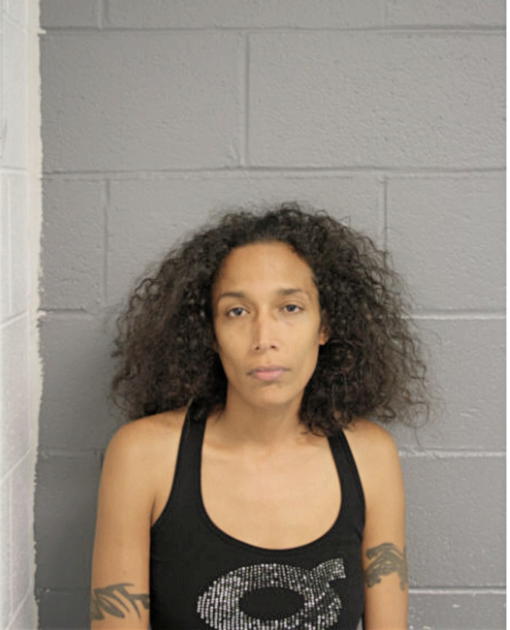 CERISSA N ARNIERI, Cook County, Illinois