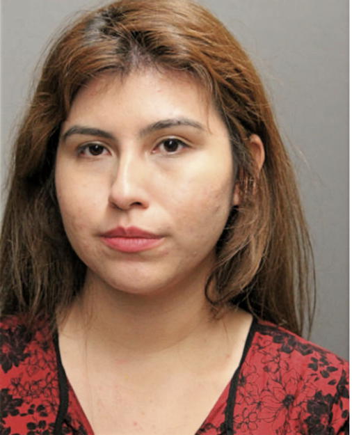 MONICA ARROYO, Cook County, Illinois