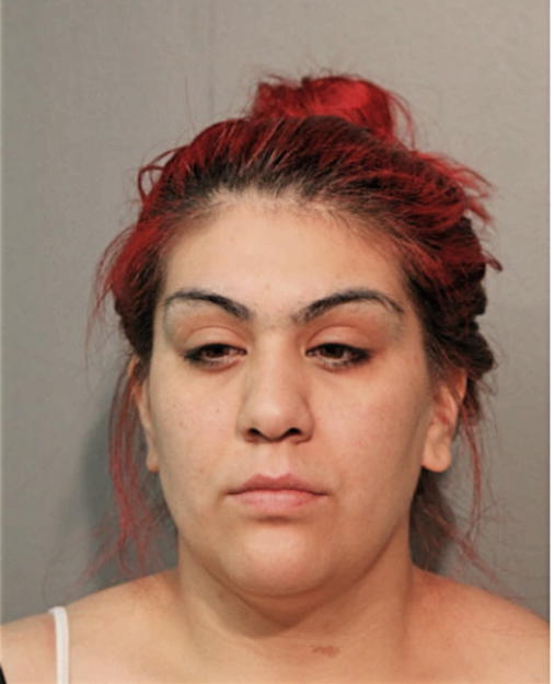 DESTINY J AVALOS, Cook County, Illinois