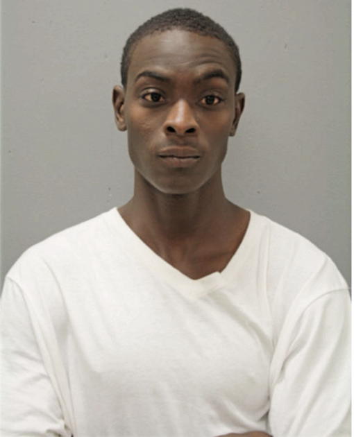 STEPHEN L BODDIE, Cook County, Illinois