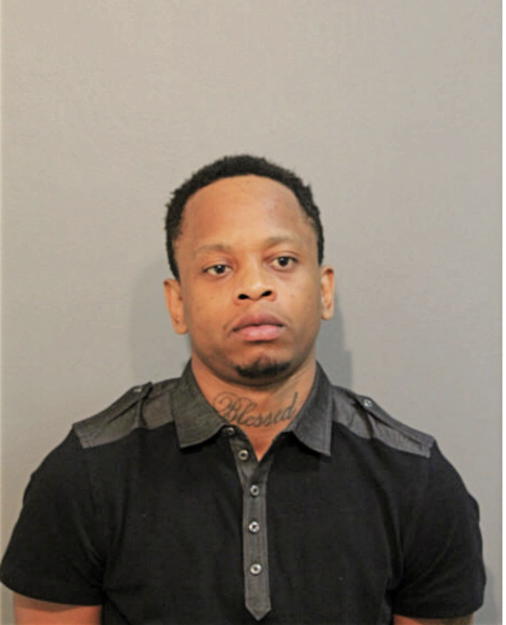 MICHAEL S BOOTH, Cook County, Illinois