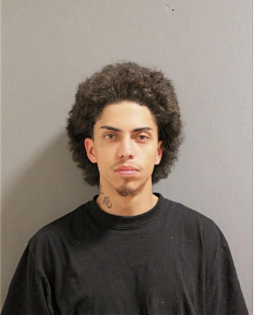 MICHAEL BRAVO, Cook County, Illinois