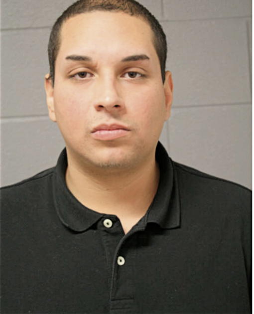 STEVE CERVANTES, Cook County, Illinois