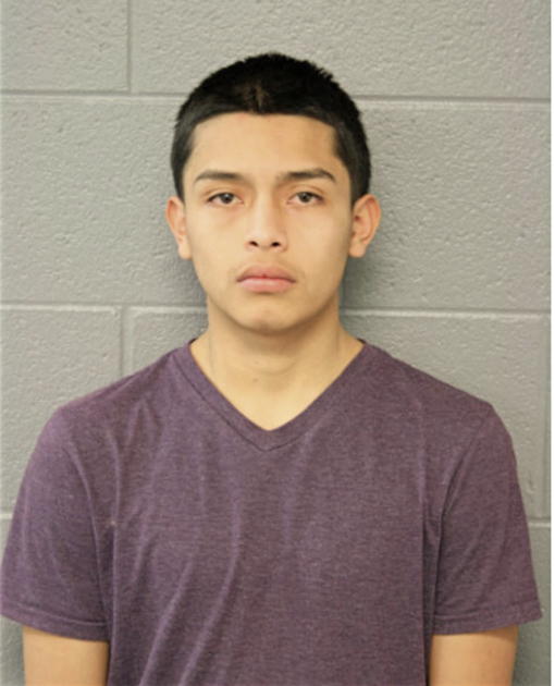 VICTOR A CERVANTES, Cook County, Illinois