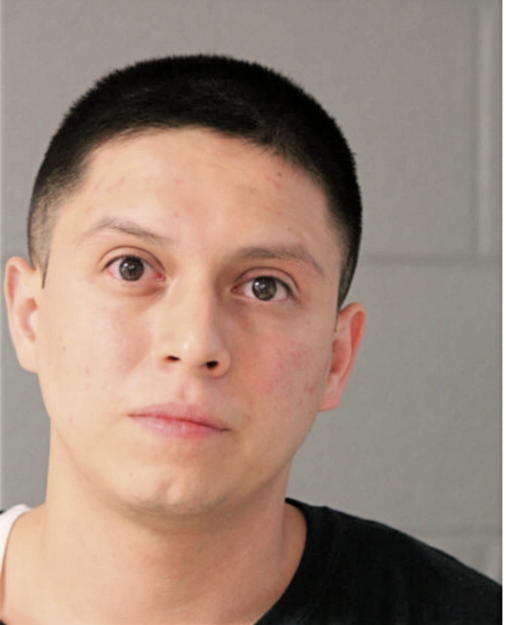 PEDRO A DESORMAUX, Cook County, Illinois