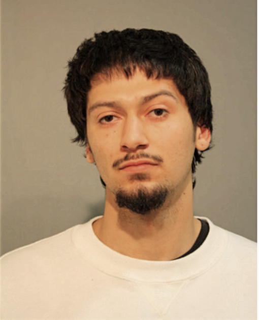 RICARDO A FLORES, Cook County, Illinois