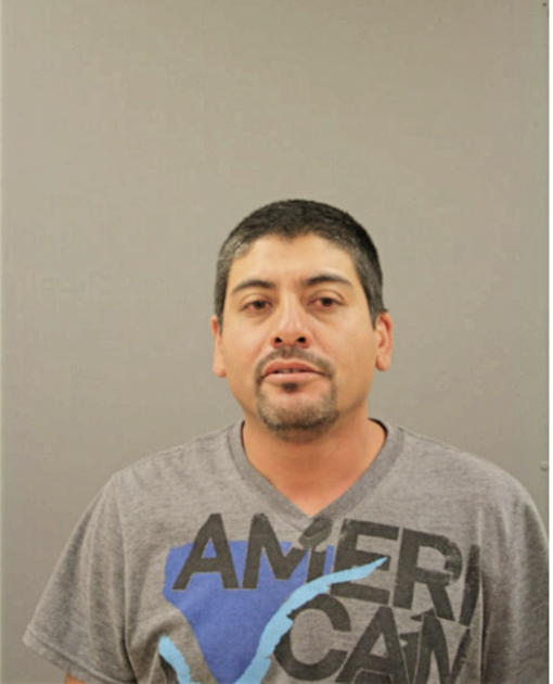 RICARDO GARCIA, Cook County, Illinois