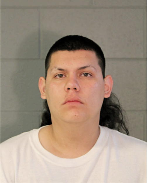 LUIS F GONZALEZ, Cook County, Illinois