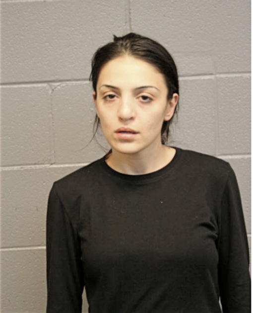 ANN HANNNA, Cook County, Illinois