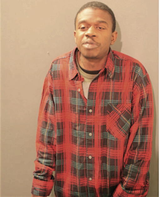 ANDREW H HAYNES, Cook County, Illinois