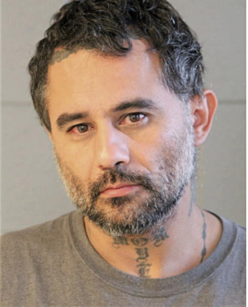 DANIEL HERNANDEZ, Cook County, Illinois