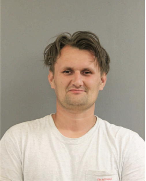 IVAN ILNITSKYI, Cook County, Illinois