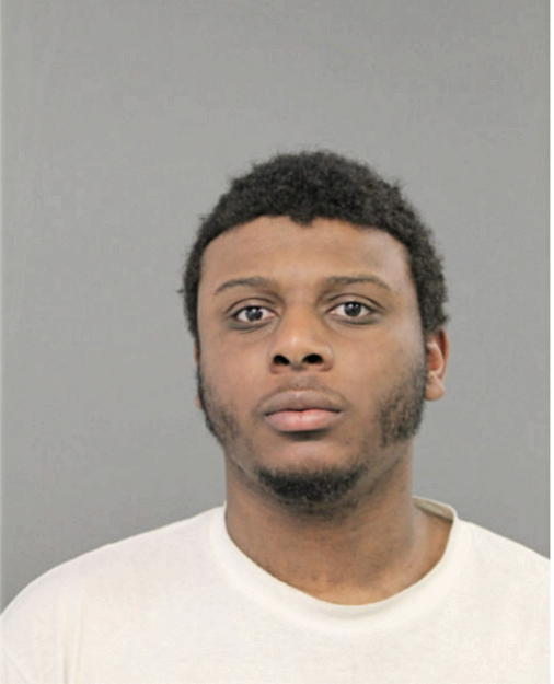 JOHNNIE JOHNSON, Cook County, Illinois