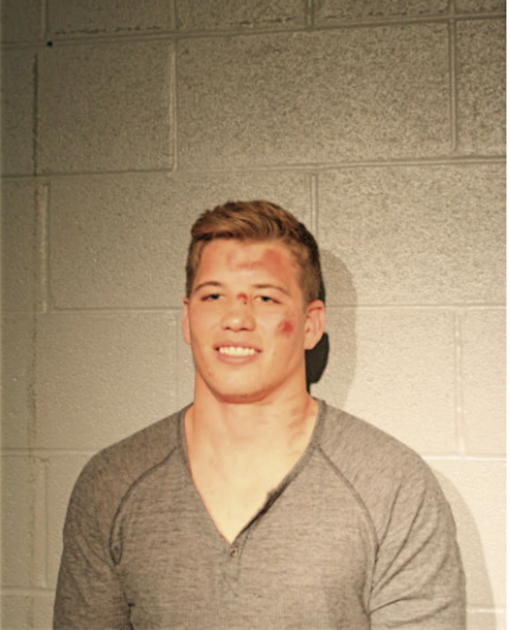 MICHAEL T KOULIS, Cook County, Illinois