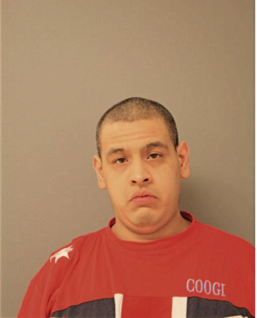 REYNALDO NAVARRETE, Cook County, Illinois
