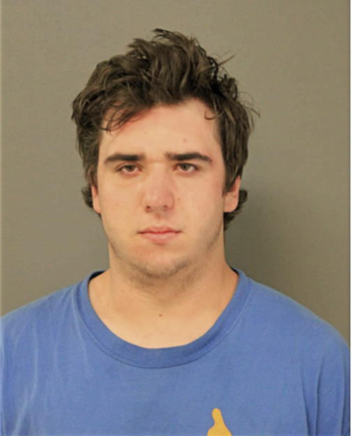 MICHAEL L NEGOSKI, Cook County, Illinois