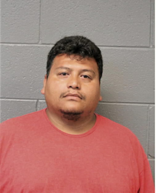 ALVARO A PULACHO, Cook County, Illinois