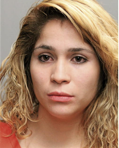 IRIS A RODRIGUEZ, Cook County, Illinois