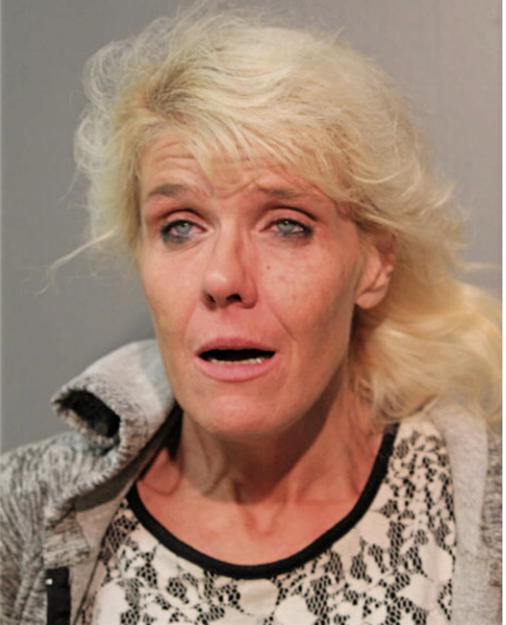 VICTORIA L SALVATO, Cook County, Illinois