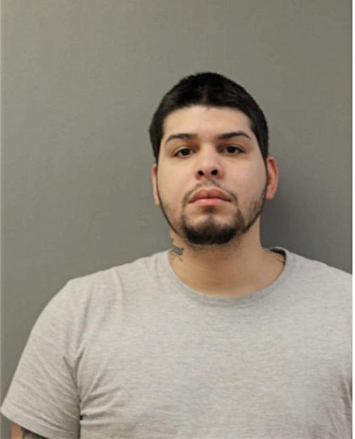 KEVIN L SANCHEZ, Cook County, Illinois