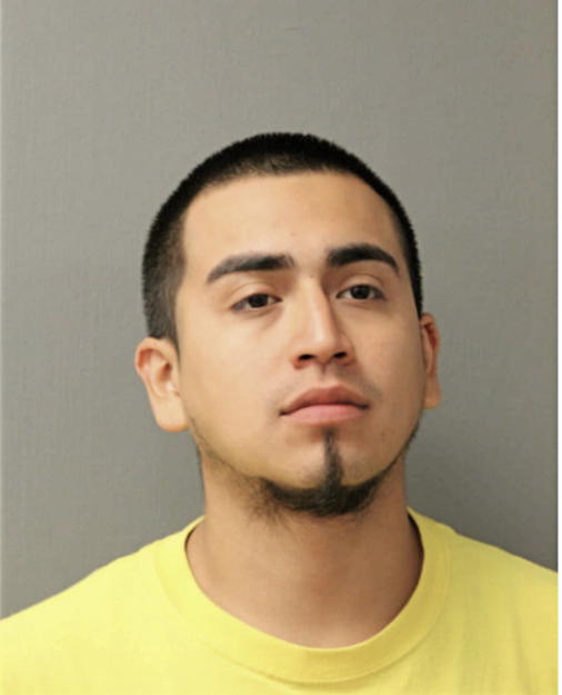 BRYAN SANTOYO, Cook County, Illinois