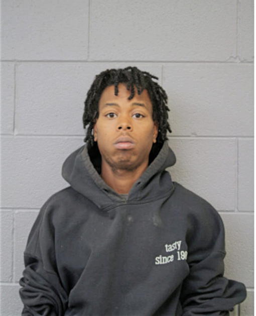 CHARLES E SUGGS, Cook County, Illinois
