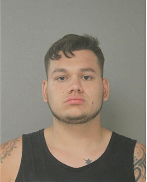CHRISTIAN T VEGA, Cook County, Illinois