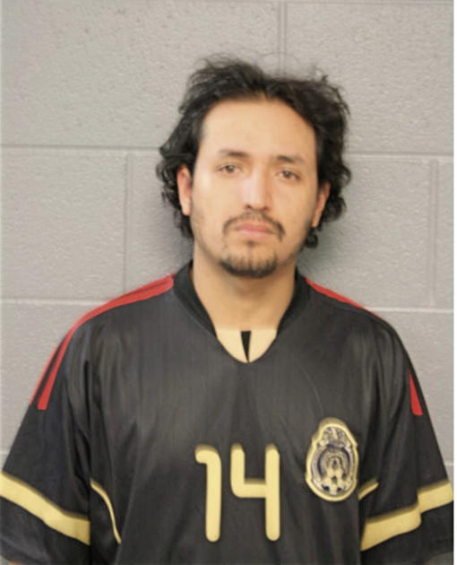 JUAN S VILLEGAS, Cook County, Illinois