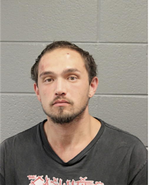 NICHOLAS F WU, Cook County, Illinois