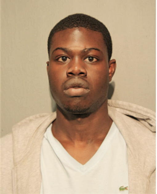 DAVID A ADJEI, Cook County, Illinois