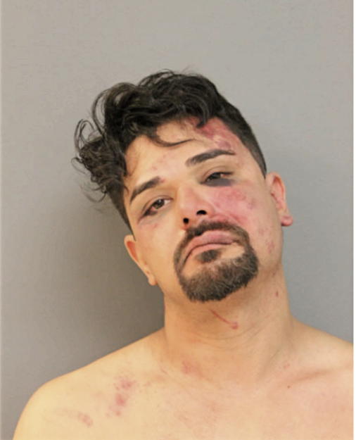 DANIEL N ALVARADO, Cook County, Illinois