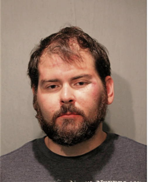 MICHAEL A BRUNO, Cook County, Illinois